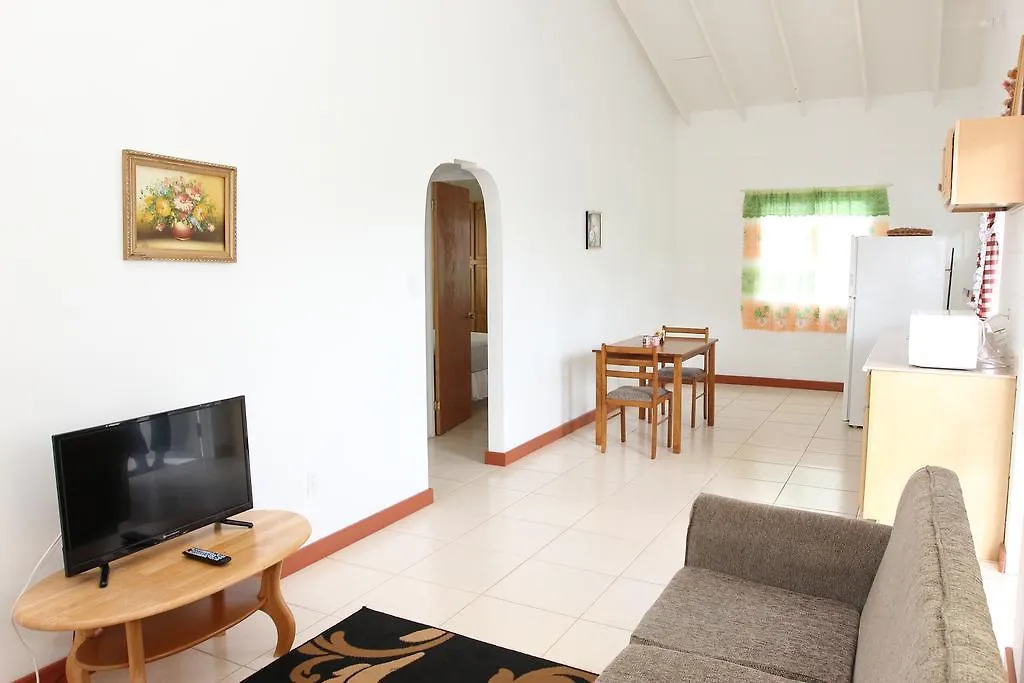 Date Palms Apartments St. John's 앤티가 바부다